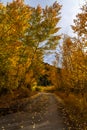 Autumn in the Colorado Rocky Mountains Royalty Free Stock Photo