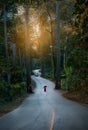 Beautiful Road for passsing to ChiangDao Mountain, ChiangMai, Thailand