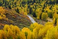 Beautiful road to Hemu village in colorful autumn in morning golden light, Xinjiang, China