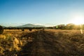 Beautiful road to the horizon in the middle of nowhere Royalty Free Stock Photo
