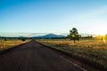 Beautiful road to the horizon in the middle of nowhere Royalty Free Stock Photo