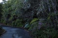 Road to Poas Volcano Crater, Costa Rica Royalty Free Stock Photo