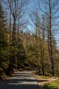 Beautiful Road to Rohtang pass in himalayas Royalty Free Stock Photo