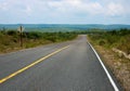 Beautiful road without transport. Empty highway in summer landscape. Asphalt road with green roadside