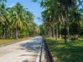 On the beautiful roads of Koh Phangan