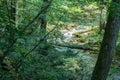 Beautiful Roaring Run Creek, Jefferson National Forest Royalty Free Stock Photo