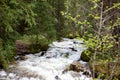 Rushing Waterfall with Lush Grass in Rocky Mountain National Park Royalty Free Stock Photo