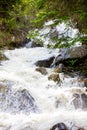 Rushing Waterfall with Lush Grass in Rocky Mountain National Park Royalty Free Stock Photo