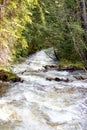 Rushing Waterfall with Lush Grass in Rocky Mountain National Park Royalty Free Stock Photo