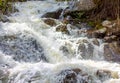 Rushing Waterfall with Lush Grass in Rocky Mountain National Park Royalty Free Stock Photo