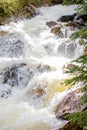 Rushing Waterfall with Lush Grass in Rocky Mountain National Park Royalty Free Stock Photo