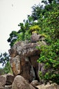 Beautiful rock formation in the middle of the native vegetation of the beach Royalty Free Stock Photo