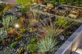 Beautiful Rockery Garden Illuminated at Night