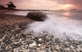 Beautiful rocks and corals on the beach.