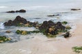 Beautiful rocks formations on the Pacific Ocean near Half Moon Bay Royalty Free Stock Photo