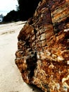 Beautiful rocks and sandy beaches Royalty Free Stock Photo