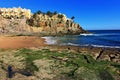 Beautiful Rocky Beach and Palm Trees Royalty Free Stock Photo