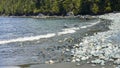 A beautiful rocky ocean beach with small white waves crashing against the shoreline. Royalty Free Stock Photo