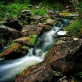 Beautiful rocky riverscene in forest