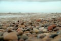 Beautiful rocky sea shore with driftwood trees trunks at sunrise or sunset. Baltic sea shore