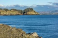 Shore line with trres and driftwood in winter under clouds Royalty Free Stock Photo