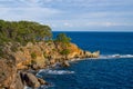 Beautiful rocky steep coast and big waves