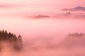 Beautiful Rolling Hills in Fog at Pink Pastel Sunrise in Fall