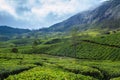 Beautiful rolling hills on the foothill of a mountain