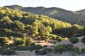 Beautiful Rolling Hills In Marin County California High Quality Royalty Free Stock Photo