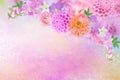 Beautiful romance dahlia, roses and orchid flowers border in colorful glitter background Royalty Free Stock Photo