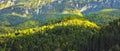 Beautiful Romania  - Piatra Craiului Mountains at Plaiul Foii Royalty Free Stock Photo