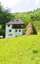 Romanian traditional villa with haystack and green grass - Oltenia province, Romania