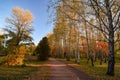 Beautiful romantic alley in autumn park with colorful trees Royalty Free Stock Photo