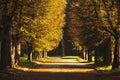 Beautiful romantic alley in a park with colorful trees and sunlight. Autumn natural background Royalty Free Stock Photo