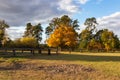 Beautiful romantic autumn tree growing in the middle of a corral for horses. In the foreground a dry bulk place for rolling for