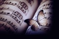 Romantic music sheeds with notes and butterfly Royalty Free Stock Photo
