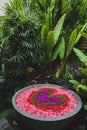 Beautiful romantic bath with heart shaped petals Royalty Free Stock Photo