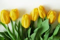 Beautiful romantic bouquet of yellow tulips isolated on white background. Lots of tulips, large bouquet Royalty Free Stock Photo