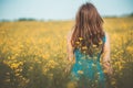 Beautiful romantic girl on blooming rapeseed field enjoying nature, young elegant woman walking in long elegant dress Royalty Free Stock Photo