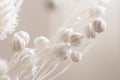 Beautiful romantic lovely wedding dried flowers with neutral beige background macro