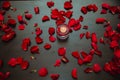 Beautiful romantic red candles with flower petals. Flower petals, candles and glass .