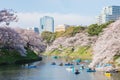 The beautiful romantic scenery of Chidorigafuchi Park during Sakura or Cherry Blossom Full Blooming, Tokyo Japan