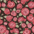 Beautiful romantic seamless pattern with blooming Austin roses on black background. Backdrop with gorgeous garden