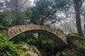 Beautiful romantic stone bridge in fairy forest Pena palace Royalty Free Stock Photo