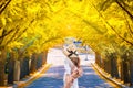 Beautiful romantic walkway ginkgo tree tunnel in the autumn season, South Korea