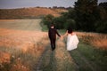 Beautiful romantic wedding couple of newlyweds hugging in park on sunset Royalty Free Stock Photo