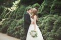 Beautiful romantic wedding couple of newlyweds hugging in park on sunset