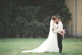 Beautiful romantic wedding couple of newlyweds hugging in park on sunset Royalty Free Stock Photo