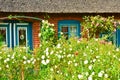 Beautiful and romantical entrance and garden of an old german farmhouse with framework and blooming plants