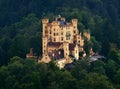 Beautiful romantically and magically castle on a hill in the woods